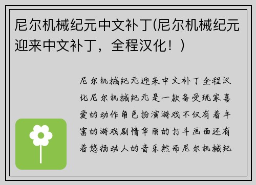 尼尔机械纪元中文补丁(尼尔机械纪元迎来中文补丁，全程汉化！)
